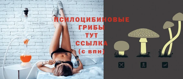 кокаин Каменка