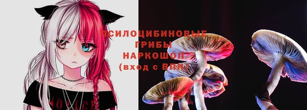 кокаин Каменка
