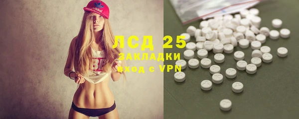 стафф Каменногорск
