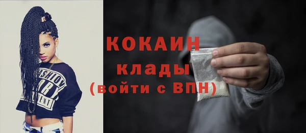 стафф Каменногорск