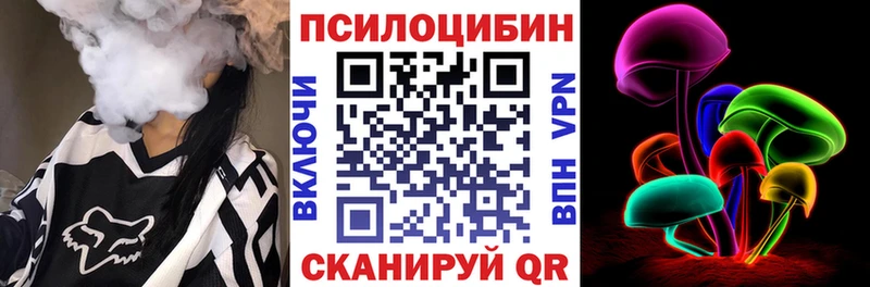 где найти наркотики  Городище  Галлюциногенные грибы Psilocybe 